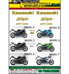 ZX-6R NINJA 2009 - 2011